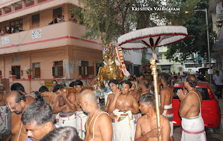 Day 06, Vasanthotsavam,Vaigasi, Purappadu,Video, Divya Prabhandam,Sri Parthasarathy Perumal, Triplicane,Thiruvallikeni,Utsavam,