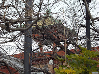 浄土真宗大谷本願寺系遍満寺