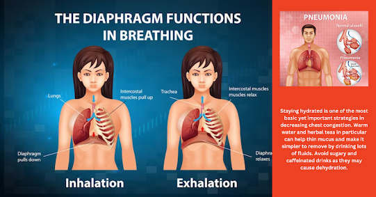 Effective Remedies for Clearing Phlegm and Relieving Chest Congestion