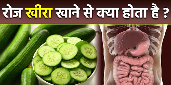खीरा खाने से होने वाले फायदे | Benefits of Eating Cucumber in Hindi