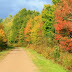 An Autumn Walk