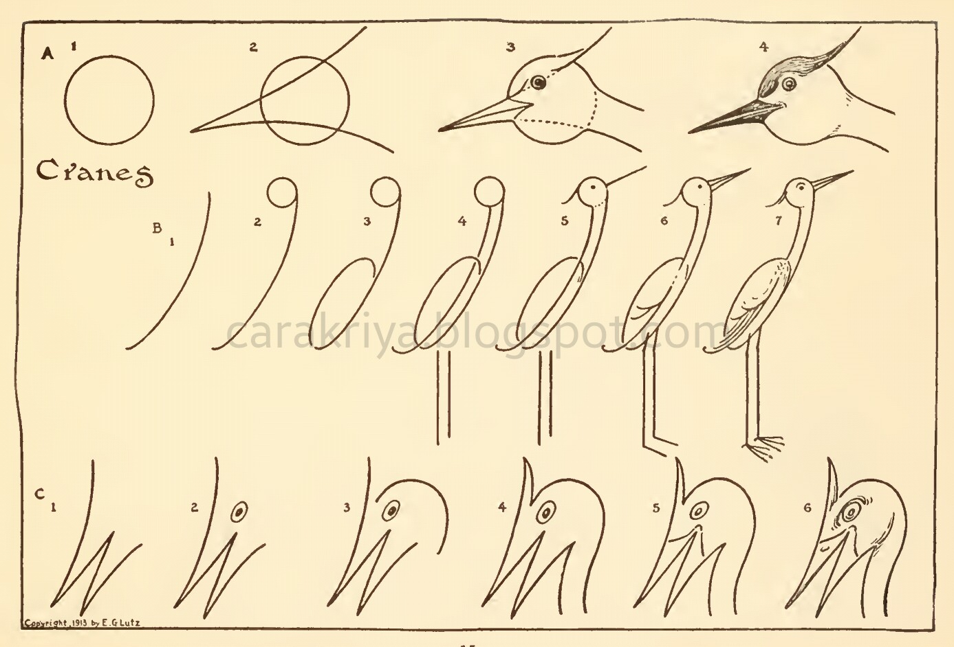 Cara Kriya Cara Mudah Menggambar Burung