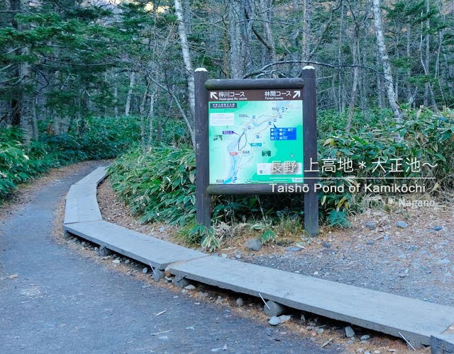 [初冬の上高地] 大正池から河童橋までの風景