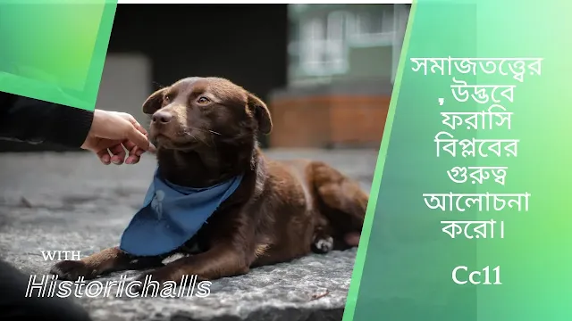সমাজতত্ত্বের, উদ্ভবে ফরাসি বিপ্লবের গুরুত্ব আলোচনা করো। অথবা, ফরাসি বিপ্লব এবং সমাজতত্ত্বের সম্পর্ক আলোচনা কর ৷ অথবা, সমাজতত্বের উদ্ভবে ফরাসি বিপ্লব কীভাবে নেতৃত্ব দিয়েছিল