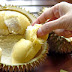 Fakta & Mitos Durian & Kesehatan