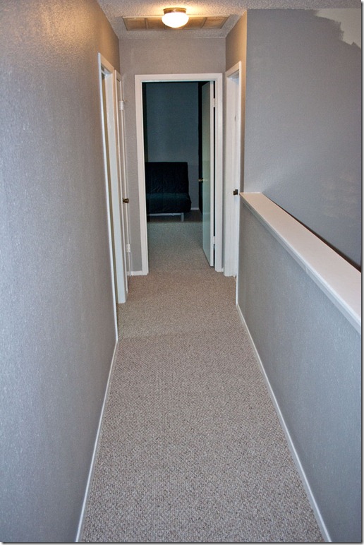 New-Carpet-03
