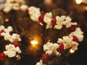 Popcorn and Cranberries
