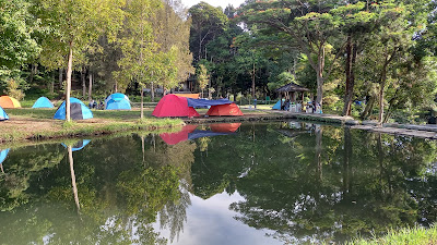 Menikmati Udara Pagi Di Mandalawangi Cibodas Camping Ground Cianjur