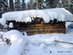 ловля соболя капканами в сибири, Trapping in  Siberia