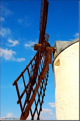 4 DSC_0226X1
