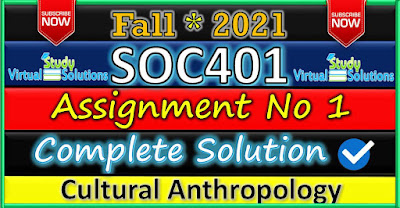 SOC401 Assignment 1 Solution Fall 2021