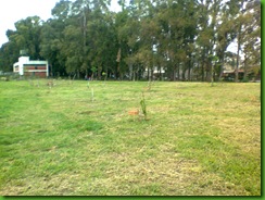 Foto0083