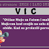 VIC: "Otišao Mujo sa Fatom i malim Mujicom kod svojih na selu da ih obiđe. Kad su prolazili pored..."