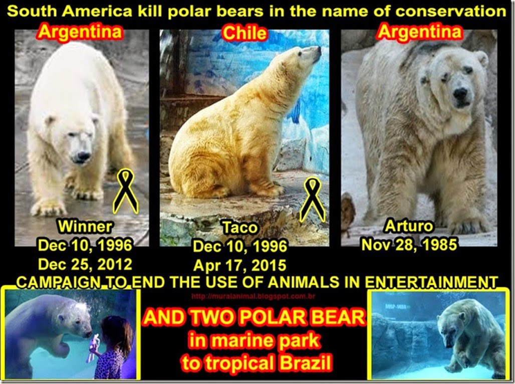kill_polar_bear_thumb[1]