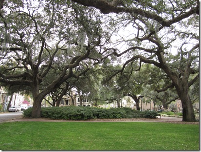 Savannah Trip and More! 124