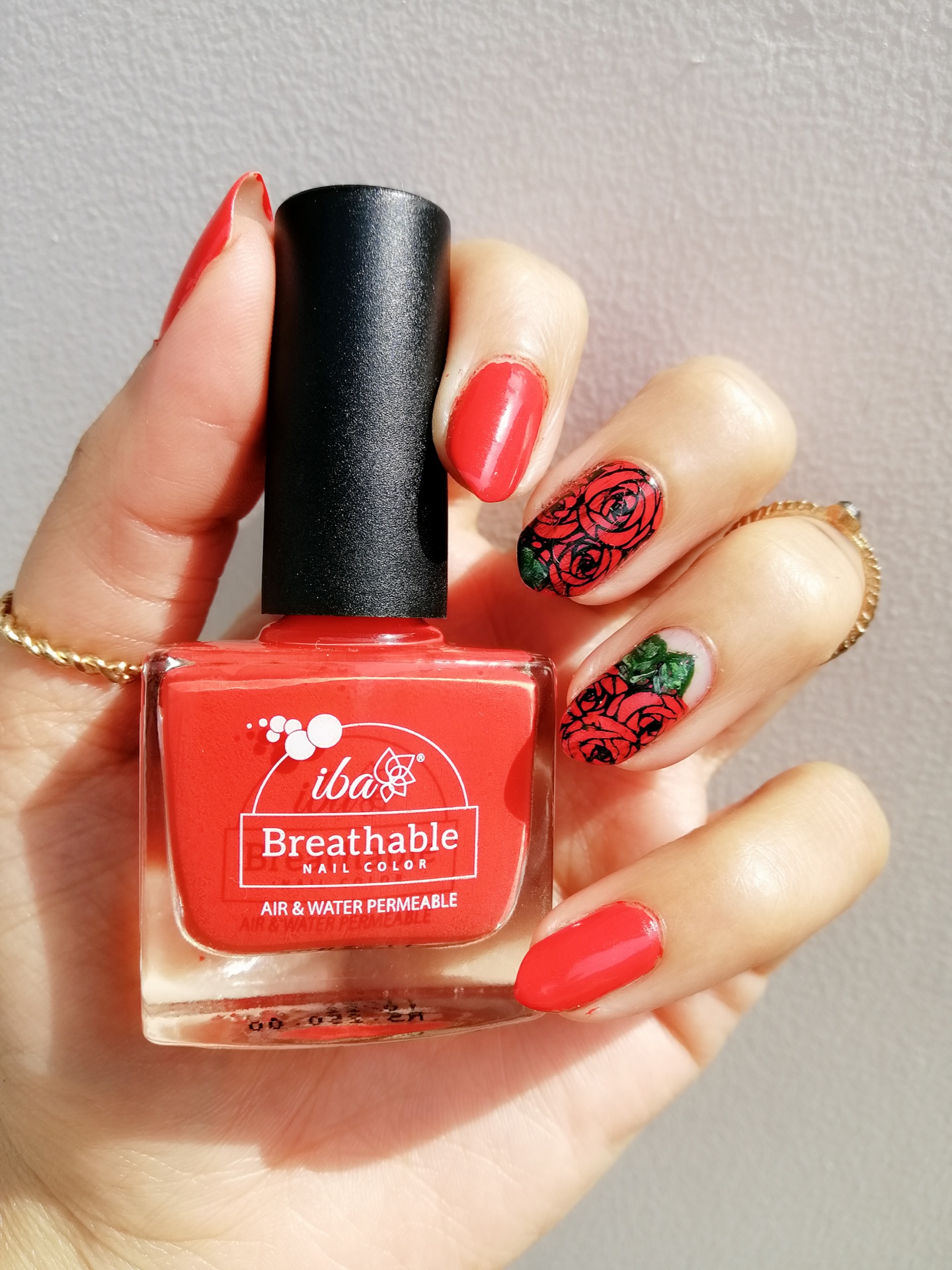 Female Hand with Red Nail Design. Female Hand Hold Red Rose Flower Stock  Image - Image of salon, nail: 225393771