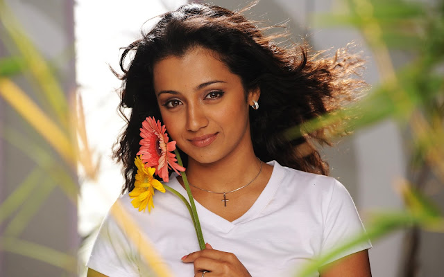 Trisha Krishnan HD Wallpaper Free Download