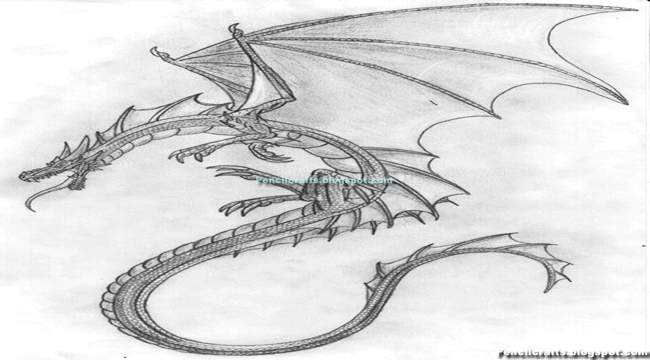 Dragon Drawings In Pencil Step By Step