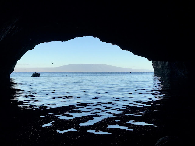 Punta Vicente Roca, Isla Isabela, Islas Galápagos