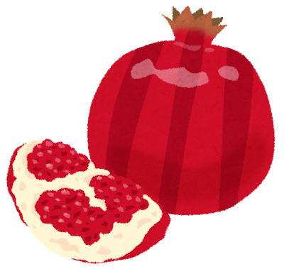 ザクロのイラスト
