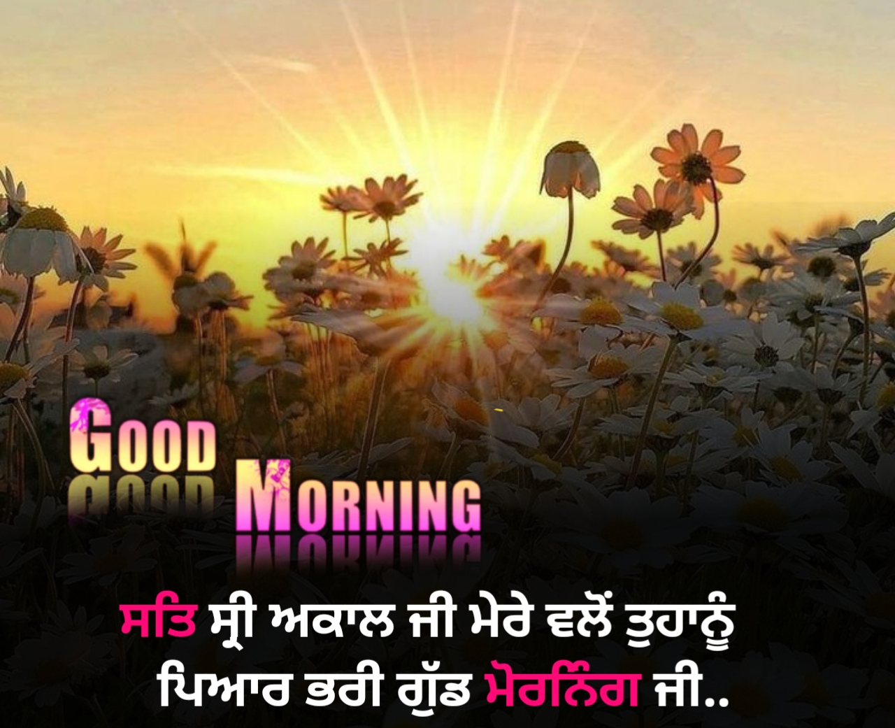 Good morning status in punjabi , Punjabi good morning wishes 2023
