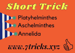 Short Trick of Platyhelminthes, Aschelminthes & Annelida Mnemonics