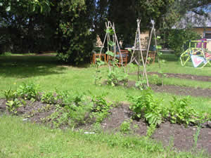 Veg garden