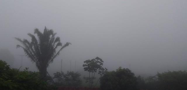 Pelo sétimo dia seguido, Ceará recebe chuvas em mais de 100 municípios