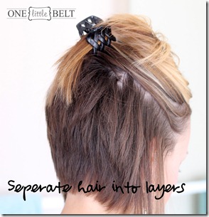 seperate hair into layers