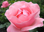 De kleine tuinier