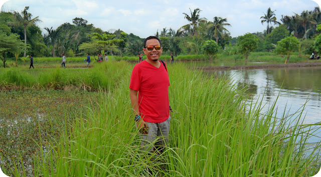 Menikmati Jazucci Di Tengah Sawah Gunung Peyek Ciseeng Berendam Air Panas Tengah Sawah Ciseeng