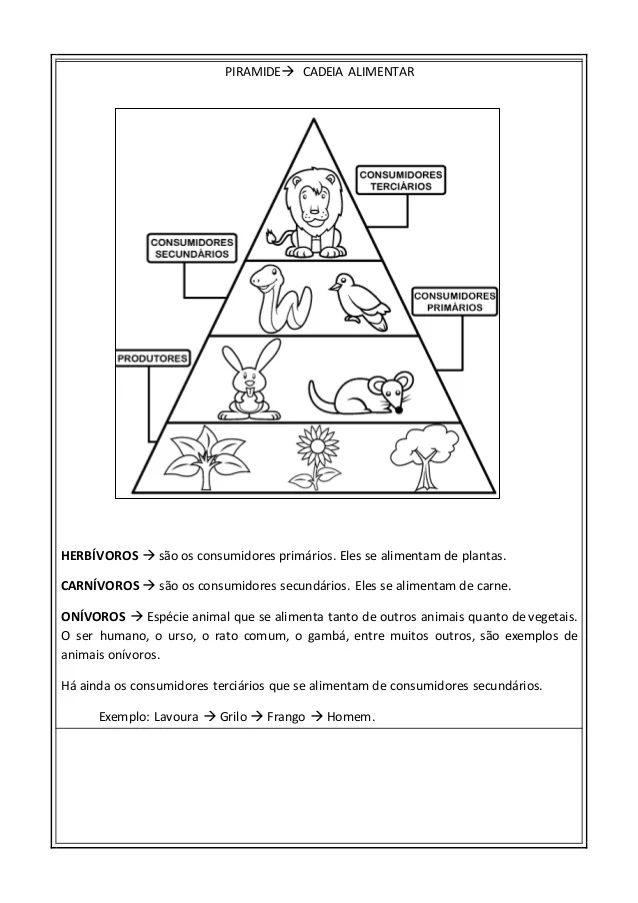 PIRAMIDE CADEIA ALIMENTAR