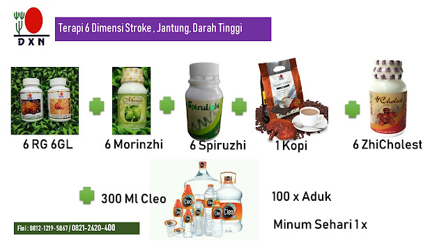 paket 6 dimensi DXN untuk stroke