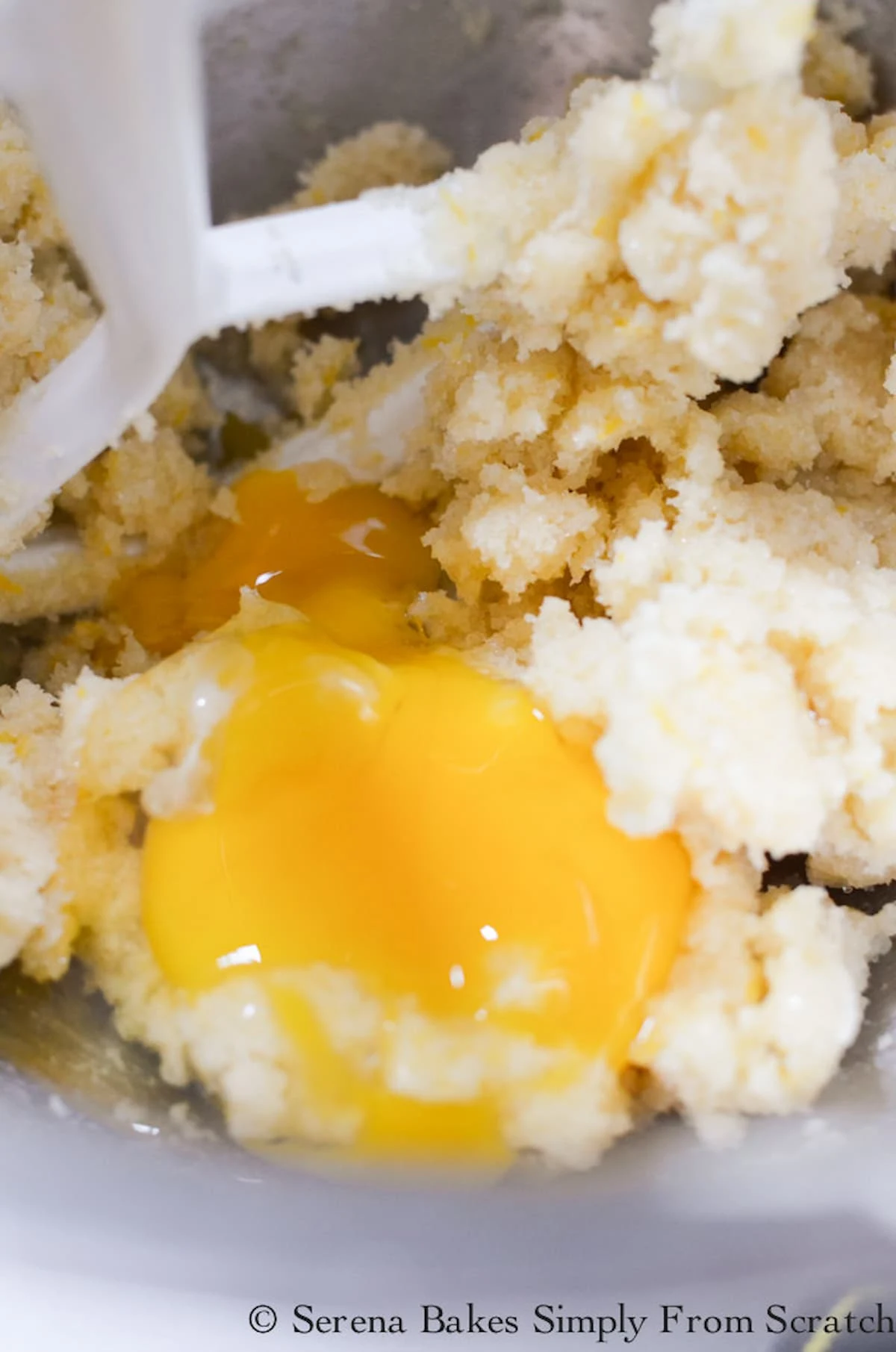One Egg added to creamed butter and sugar in a stainless steel mixing bowl.