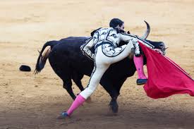 Portuguese bullfighting, the main event of which is the corrida itself in the ancient national traditions.