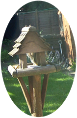 Squirrel on bird table