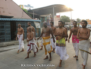 Aani,Almel Pallakku,Purappadu , Vahanam,Sri Theliya Singar, Yoga Narasimhar,Brahmotsavam ,Purappadu,Video, Divya Prabhandam,Sri Parthasarathy Perumal, Triplicane,Thiruvallikeni,Utsavam,