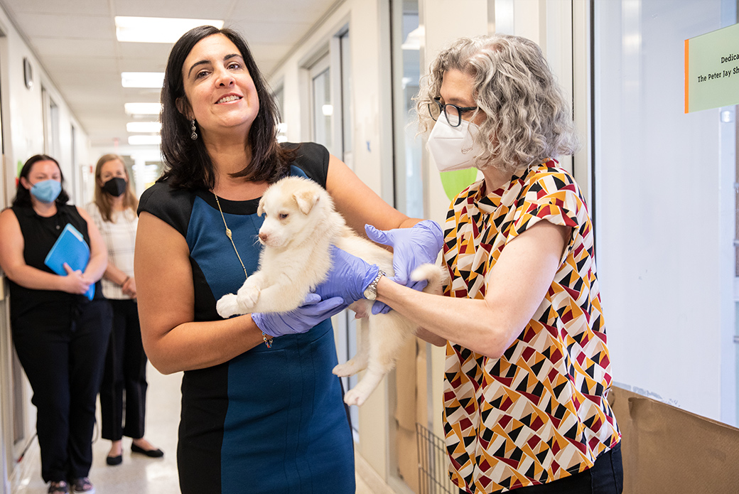 U.S. Representative Nicole Malliotakis visits animal shelter