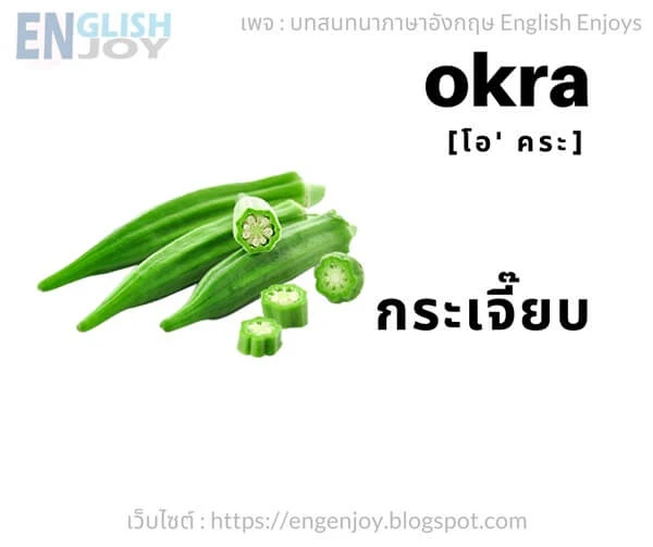 คําศัพท์ภาษาอังกฤษ ผัก - Okra (กระเจี๊ยบ)_Vegetables