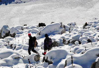 Descendiendo