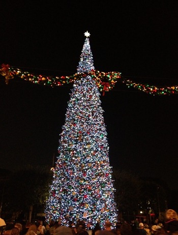 christmas tree at night (1 of 1)