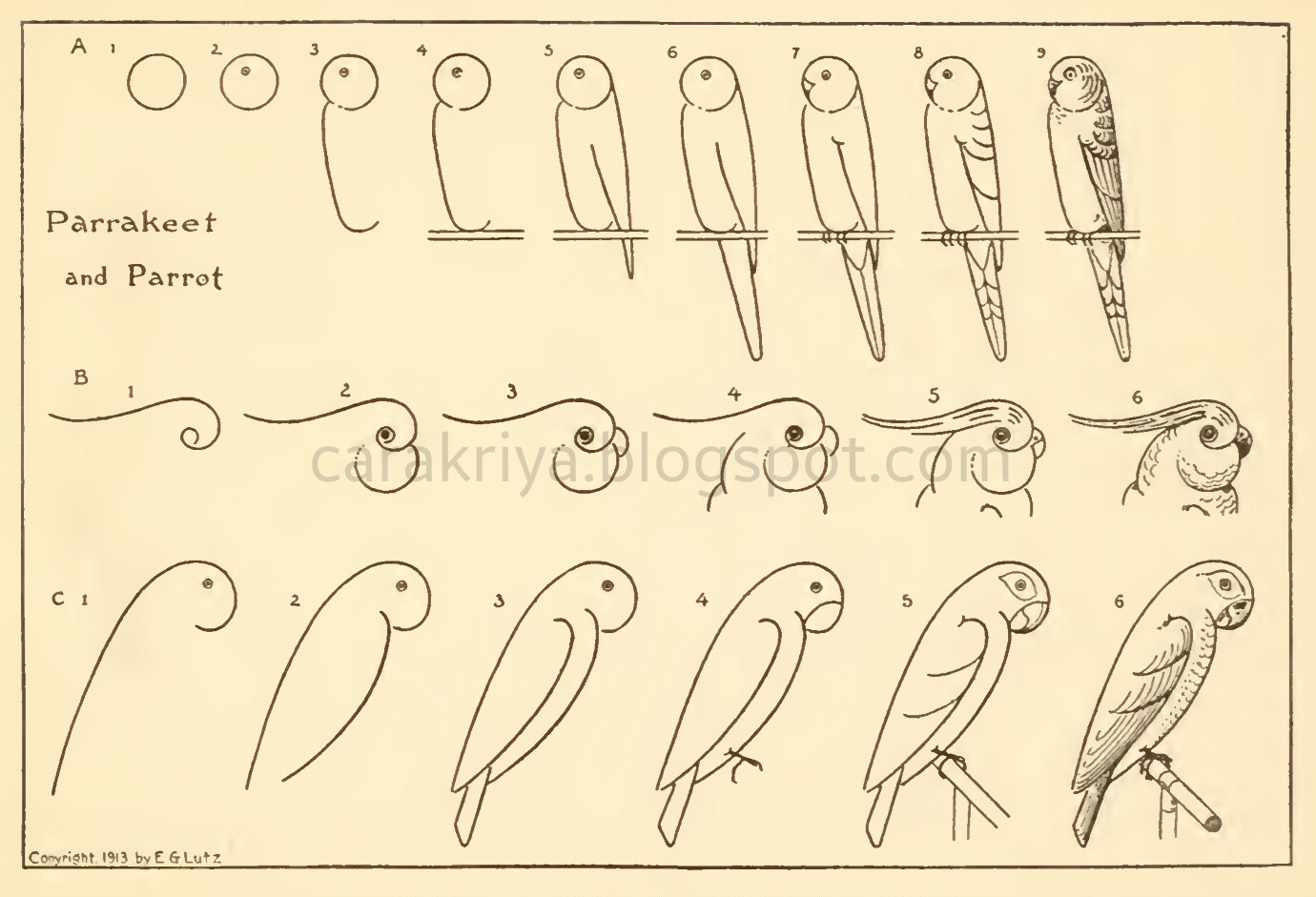 Cara Kriya Cara mudah menggambar burung