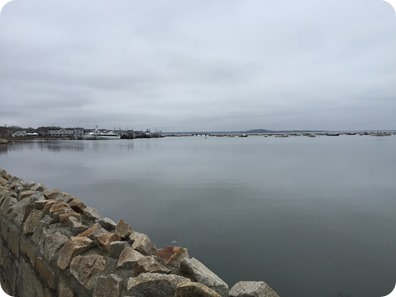 Plymouth Rock