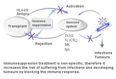 Side effects of immunosuppressant medications