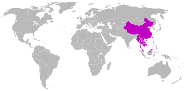 10 bahasa besar dunia, 10 bahasa dengan pengguna terbanyak, 10 
bahasa internasional, peringkat bahasa, jumlah pengguna bahasa di dunia,
 sejarah bahasa mandarin, peta pengguna bahasa, bahasa-bahasa 
internasional
