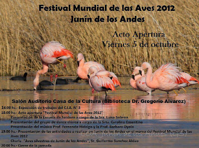 Festival Mundial de las Aves en Junín de los Andes.-