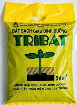 kỹ thuật trồng rau sạch tại nhà