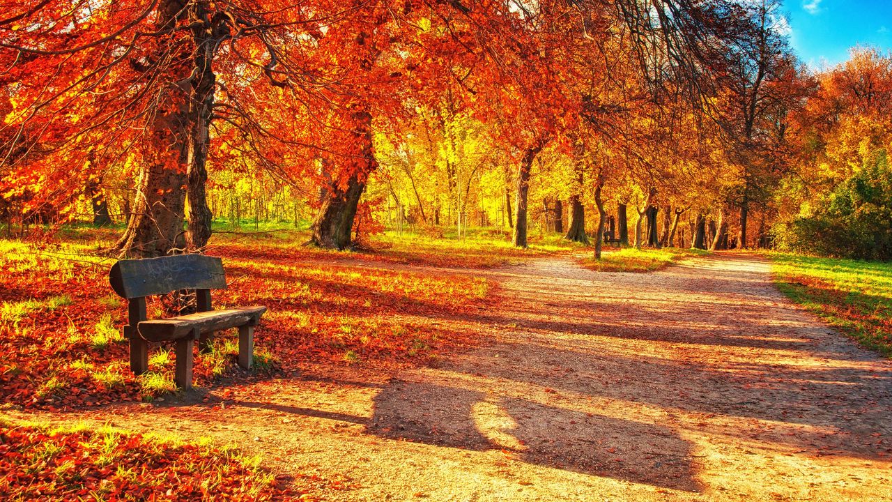 Wallpaper Bench Autumn Park