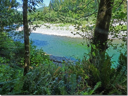 Riverview Trail, Alfred A Loeb State Park, Brookings OR