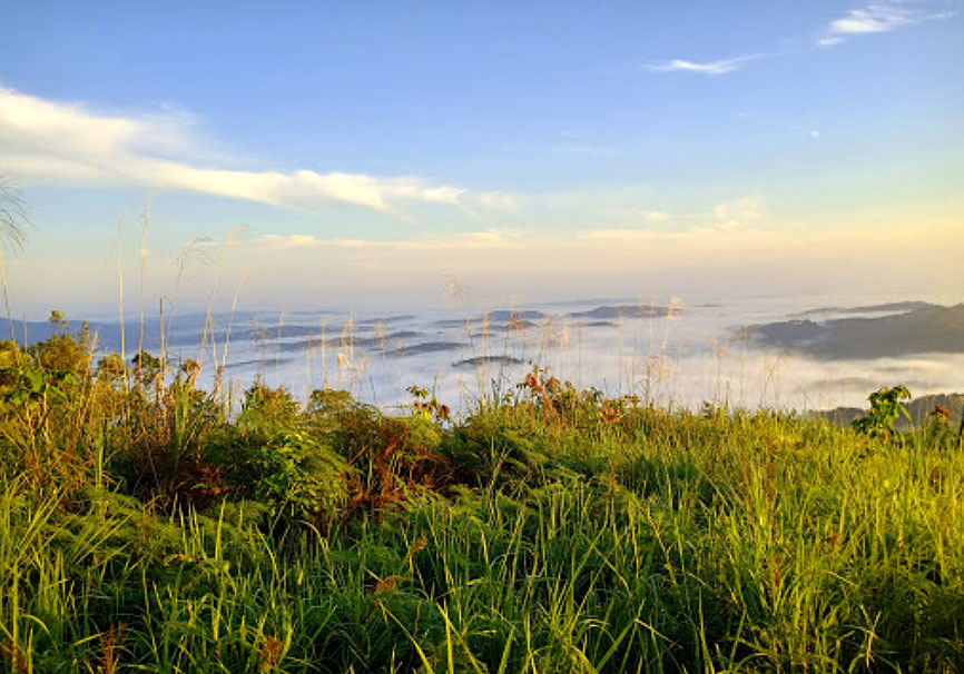 Wisata Bukit Burang Nanga Taman